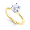 Bluebell - R1318