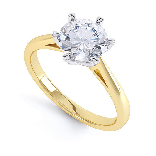 Daisy - R1326